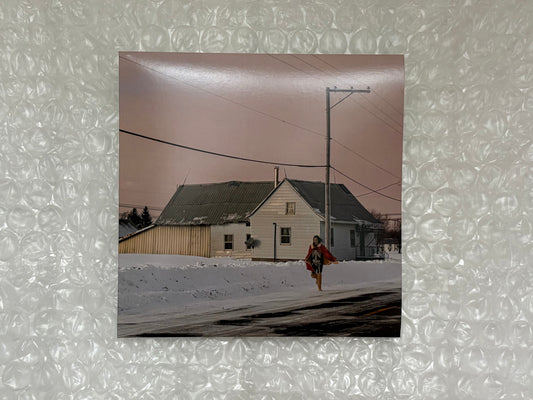 Cicada - 12" black vinyl - Limited Edition